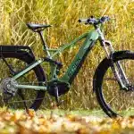Prophete Stack 5.0 29 E-Bike in Mattgrün, stehend auf einem Grasgrund mit Laub und hohem Schilf im Hintergrund. Das Fahrrad ist ein vollgefedertes Mountainbike mit Gepäckträger und Schutzblechen.