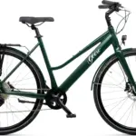 Ein dunkelgrünes Geero FLEX E-Bike mit gebogenem Lenker, integriertem Akku, Gepäckträger und schwarzen Anbauteilen steht auf weißem Hintergrund.
