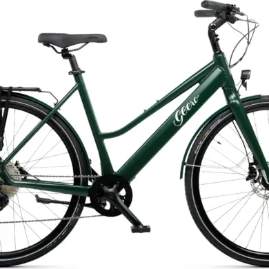 Ein dunkelgrünes Geero FLEX E-Bike mit gebogenem Lenker, integriertem Akku, Gepäckträger und schwarzen Anbauteilen steht auf weißem Hintergrund.