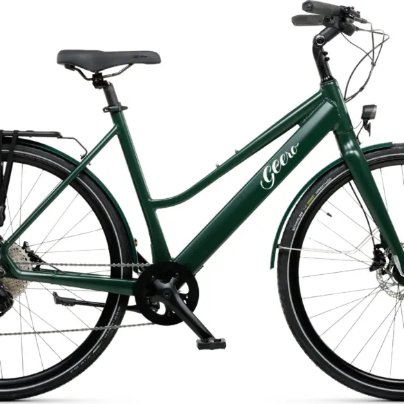 Ein dunkelgrünes Geero FLEX E-Bike mit gebogenem Lenker, integriertem Akku, Gepäckträger und schwarzen Anbauteilen steht auf weißem Hintergrund.
