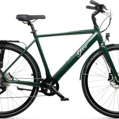 Seitenansicht eines dunkelgrünen Geero FLEX E-Bikes mit schwarzem Sattel und Griffen.