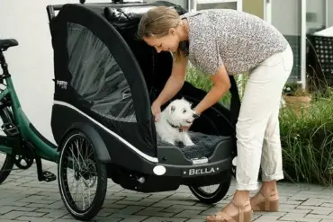 Frau hebt einen weißen West Highland Terrier Hund in die Kabine eines schwarzen Kangaroo Dog Lastenrads.