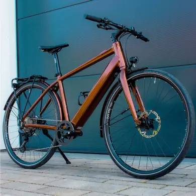 Ein MAXX Roadmaxx ELF Tour E-Bike in Braun steht seitlich vor einer dunklen Garagentür.