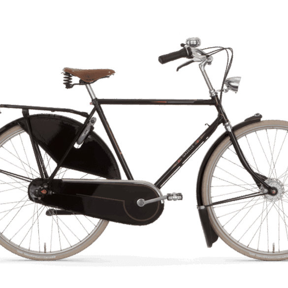 Gazelle Tour Populair C8