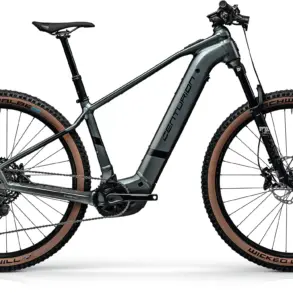 Centurion Backfire R2000 E-Bike mit 29-Zoll-Rädern, Bosch-Motor und Schwalbe Wicked Will Reifen