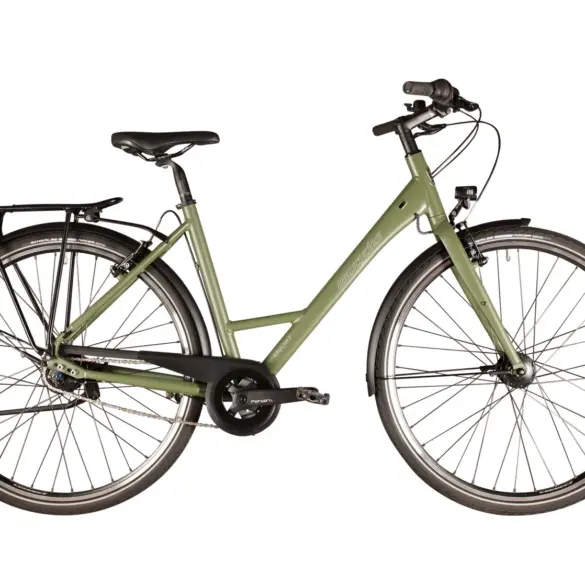 Seitenansicht eines Khaki-farbenen Citybikes (Modell: City Lite 2) mit Gepäckträger, Schutzblechen, Nabendynamo und Beleuchtung, stehend vor weißem Hintergrund.