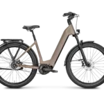 ROSE Mayor Plus 2 LowStep E-Bike in sandfarbener Ausführung, Seitenansicht