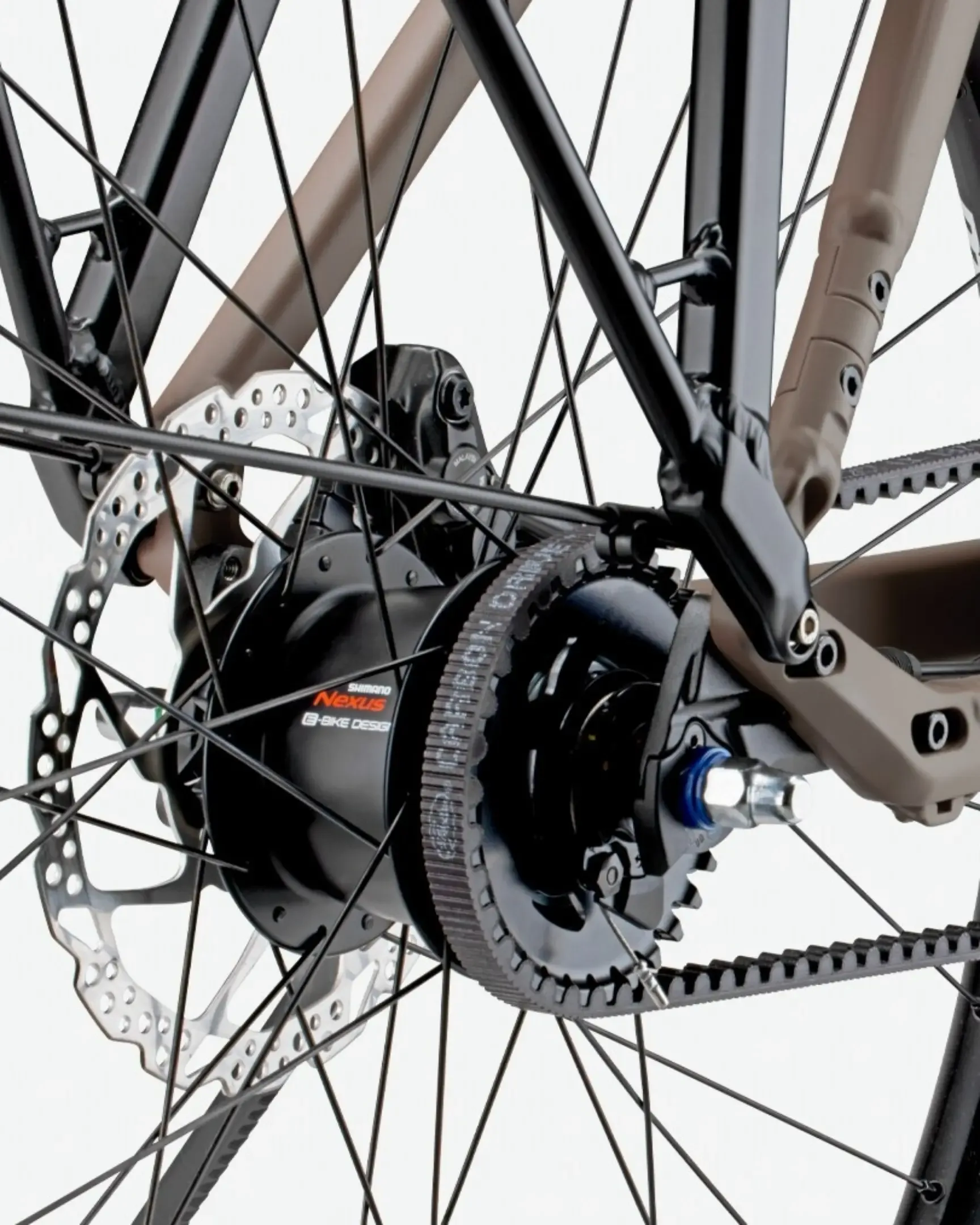 Nahaufnahme der Shimano Nexus 5E Nabenschaltung mit Zahnriemenantrieb und Scheibenbremse am Hinterrad eines ROSE Mayor Plus 2 LowStep Fahrrads