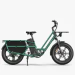 Fiido T2 Longtail Cargo E-Bike in Grün, Seitenansicht, mit Gepäckträger und breiten Reifen