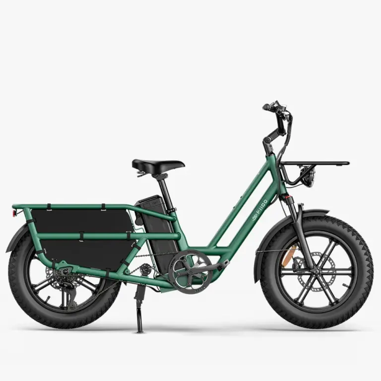 Fiido T2 Longtail Cargo E-Bike in Grün, Seitenansicht, mit Gepäckträger und breiten Reifen