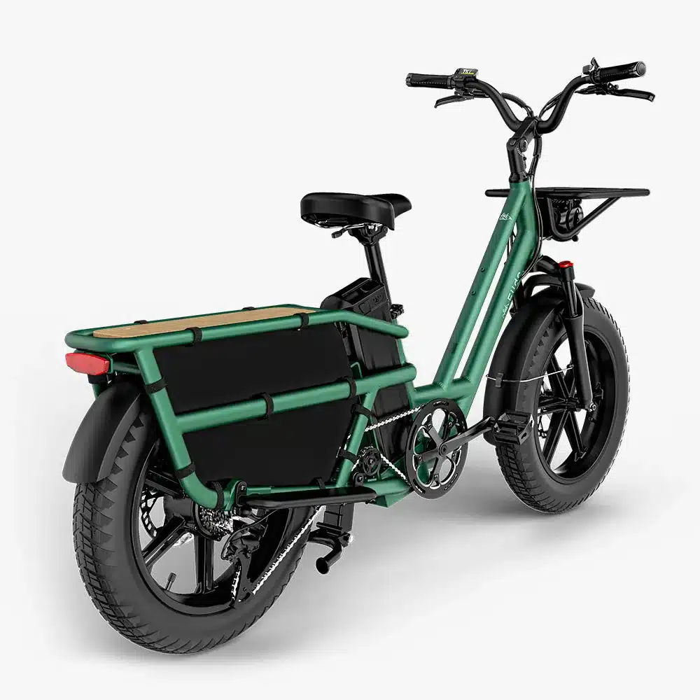 Fiido T2 Longtail Cargo E-Bike in grüner Farbe, seitliche Ansicht mit Gepäckträger und breiten Reifen