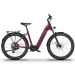 Ganzes Bild eines GRANDAMO Tereno E-Bikes in Bordeaux, mit Fokus auf den Wave-Rahmen, Shimano EP801 Mittelmotor, breite Schwalbe Reifen und AtranVelo Gepäckträger.