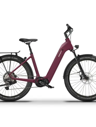 Ganzes Bild eines GRANDAMO Tereno E-Bikes in Bordeaux, mit Fokus auf den Wave-Rahmen, Shimano EP801 Mittelmotor, breite Schwalbe Reifen und AtranVelo Gepäckträger.