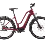 Ganzansicht eines KAGU :ePinion Mid Trekking-E-Bikes in der Farbe Dunkelrot, ausgestattet mit Gepäckträger, Schutzblechen, einer Federgabel und dem integrierten Pinion MGU Antriebssystem.