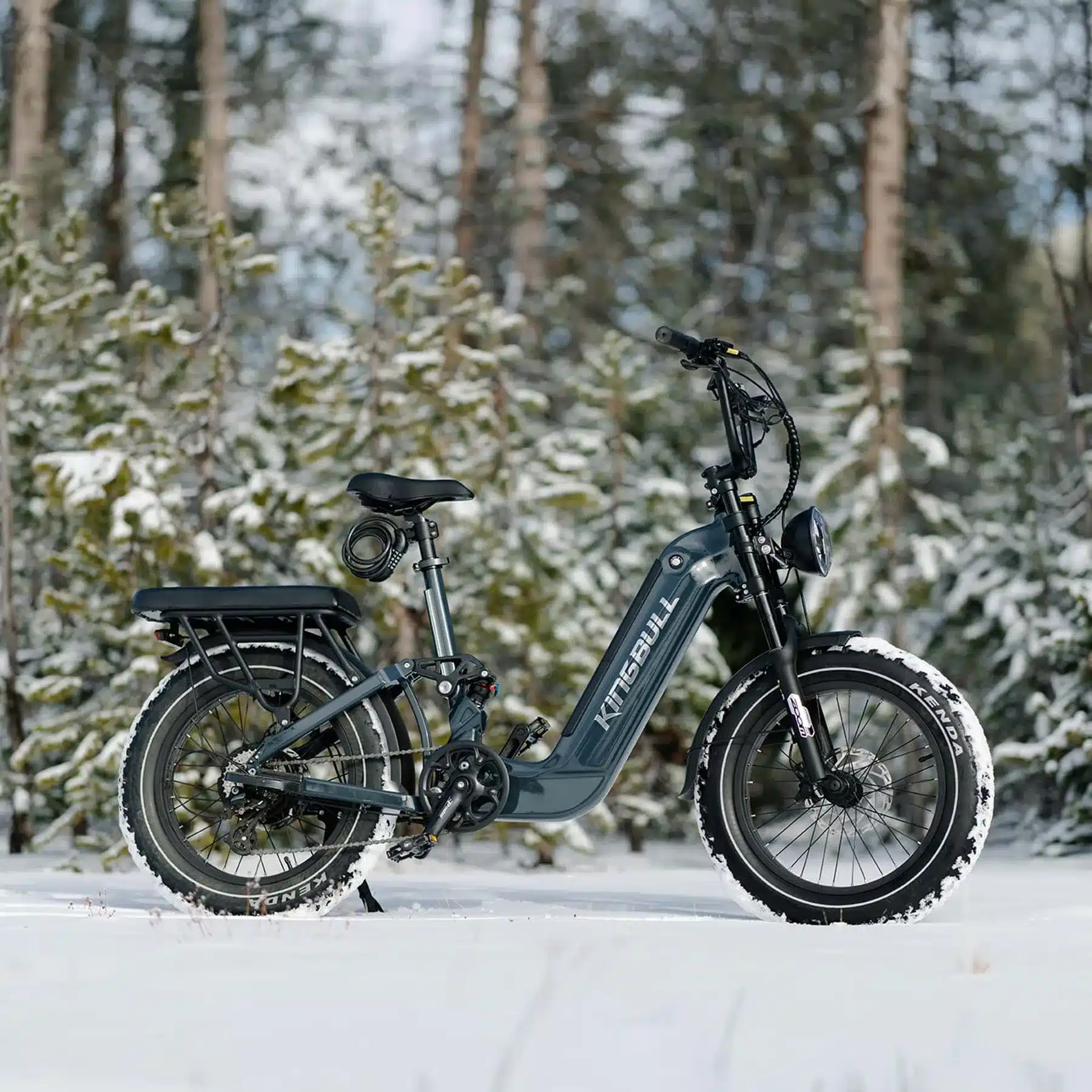 Graues Kingbull Jumper Go 20 E-Bike mit breiten Reifen und Federung, das im verschneiten Wald steht.