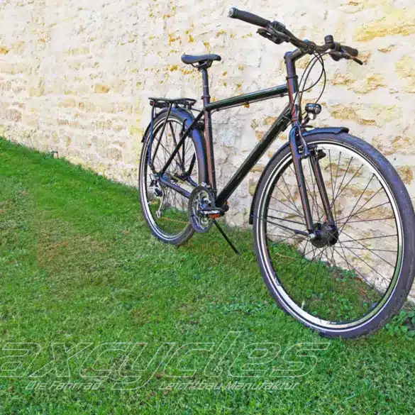 Seitenansicht eines schwarzen Maxcycles Smash Lite Fahrrads mit Gepäckträger, das an einer groben Steinmauer steht.