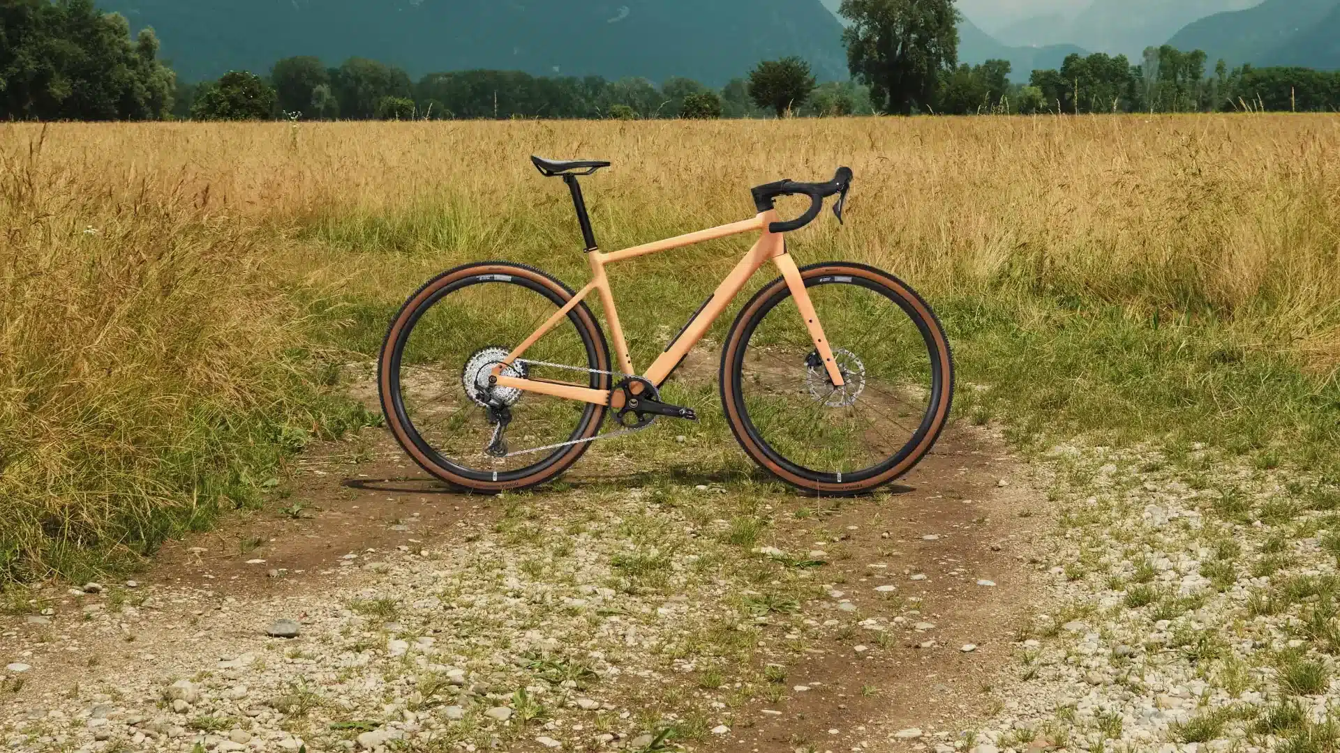 Ein sandfarbenes ROSE Backroad AL Gravelbike mit braunen Reifen steht auf einem Schotterweg in einem Feld mit hohem Gras.