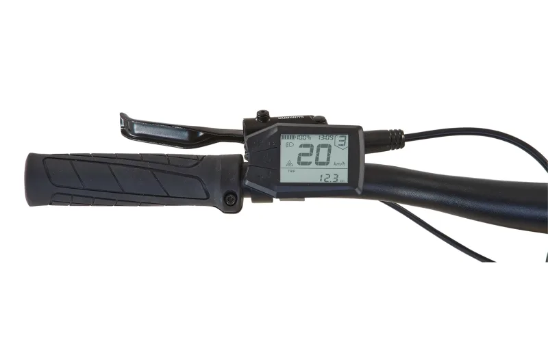 Nahaufnahme des Lenkers eines Prophete E-Mountainbikes mit Griff, Bremshebel und einem digitalen LCD-Display, das Geschwindigkeit, Akkuladung und Uhrzeit anzeigt.