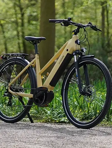 Beiges E-Trekkingrad Entdecker 3.4 mit Gepäckträger und Federgabel steht auf einem befestigten Weg im Wald.