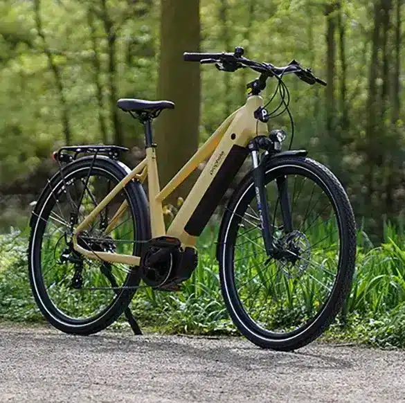 Beiges E-Trekkingrad Entdecker 3.4 mit Gepäckträger und Federgabel steht auf einem befestigten Weg im Wald.