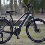 Schwarz-graues Prophete Entdecker 5.0 E-Trekkingrad mit mittig angebrachtem Akku und Gepäckträger, abgestellt auf einem gepflasterten Weg zwischen Bäumen.