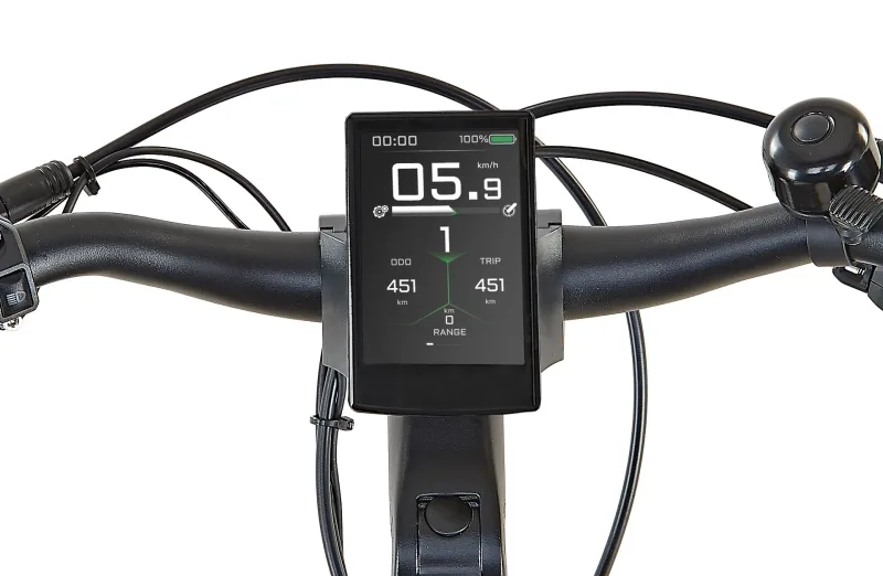 Nahaufnahme des digitalen Farbdisplays an einem Fahrradlenker, das die Geschwindigkeit von 5.9 km/h, die Stufe 1 der Unterstützung, 451 km Gesamtkilometer und 0 km Reichweite anzeigt.