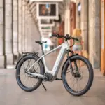Graues Heritage Style E-Bike mit Federgabel und Gepäckträger, stehend auf einem Gehweg vor einer Säulenarkade.