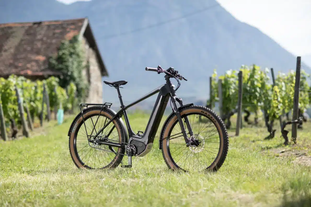 Schwarzes E-Bike der Marke Heritage Style Escapade mit breiten Reifen und Gepäckträger, stehend in ländlicher Umgebung mit Weinreben und einem Bauernhaus.