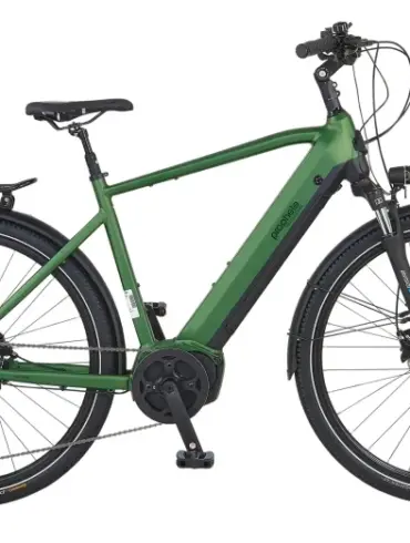 Seitenansicht eines Prophete Entdecker 4.9 Trekking E-Bikes in Grün, mit Fokus auf den Rahmen, die Reifen und den Gepäckträger.