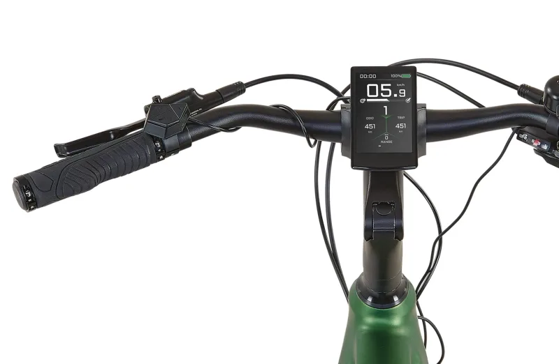 Nahaufnahme des digitalen Displays und der Bedienelemente am Lenker eines grünen Prophete Entdecker 4.9 Trekking-E-Bikes.