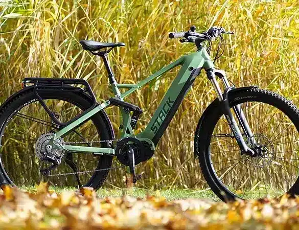 Prophete Stack 5.0 29 E-Bike in Mattgrün, stehend auf einem Grasgrund mit Laub und hohem Schilf im Hintergrund. Das Fahrrad ist ein vollgefedertes Mountainbike mit Gepäckträger und Schutzblechen.