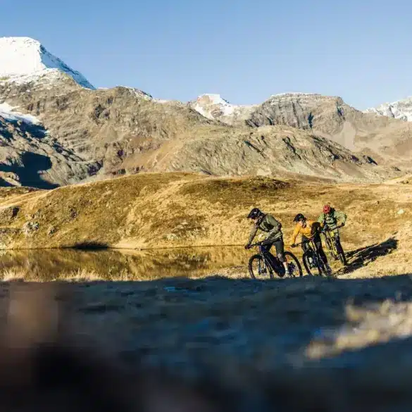Drei Mountainbiker fahren auf einem schmalen Pfad in den Alpen, im Hintergrund hohe Berge und ein klarer Himmel.