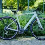 Ein modernes, helles E-Bike der Marke Prophete, Modell Urbanicer 2.9, steht auf einem gepflasterten Weg vor einer Kulisse aus dichtem, grünem Gras und Bäumen.