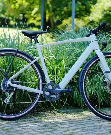 Ein modernes, helles E-Bike der Marke Prophete, Modell Urbanicer 2.9, steht auf einem gepflasterten Weg vor einer Kulisse aus dichtem, grünem Gras und Bäumen.