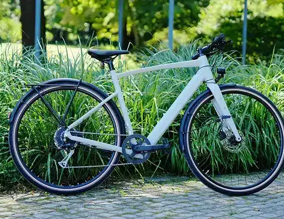 Ein modernes, helles E-Bike der Marke Prophete, Modell Urbanicer 2.9, steht auf einem gepflasterten Weg vor einer Kulisse aus dichtem, grünem Gras und Bäumen.