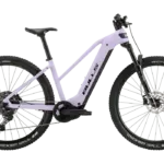 BULLS Copperhead EVO 1 Trapez E-Mountainbike in der Farbe Moor Green Matt, mit Fokus auf den Rahmen und die Reifen.