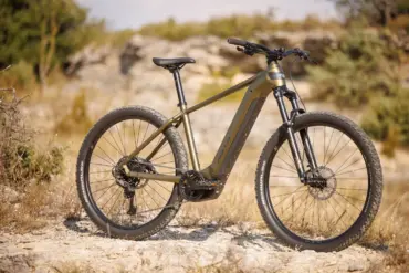 Ein BULLS Copperhead EVO 29 Trapez E-Mountainbike in Khaki-Grün steht auf einem steinigen Weg mit trockenem Gras und Büschen im Hintergrund.