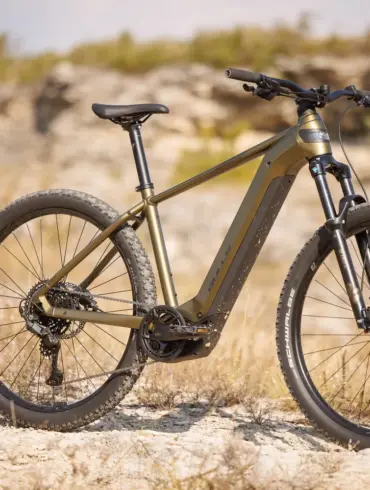 Ein BULLS Copperhead EVO 29 Trapez E-Mountainbike in Khaki-Grün steht auf einem steinigen Weg mit trockenem Gras und Büschen im Hintergrund.