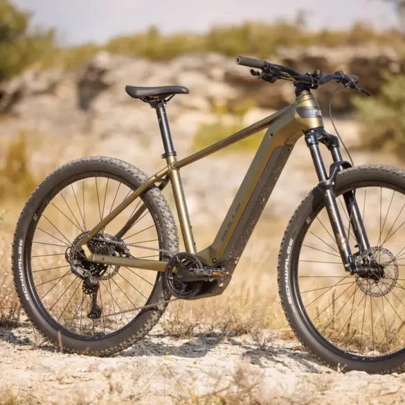 Ein BULLS Copperhead EVO 29 Trapez E-Mountainbike in Khaki-Grün steht auf einem steinigen Weg mit trockenem Gras und Büschen im Hintergrund.