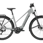 Graues BULLS Cross Lite EVO SX 1 Trekking-E-Bike mit Gepäckträger und Federgabel im Seitenprofil