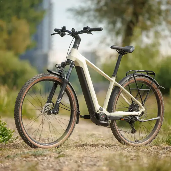 Cremefarbenes Bulls Iconic EVO 1 E-Bike mit breiten Reifen, Federgabel und Gepäckträger steht auf einem Feldweg im Grünen.