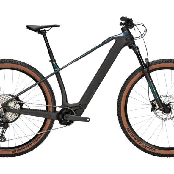 BULLS Sonic EVA SX 1 E-Mountainbike in Dunkelgrau mit braunen Reifen und silbernen Anbauteilen.