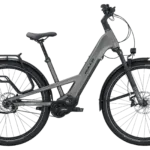 Seitenansicht eines grauen BULLS Vuca EVO X1 E-Bikes mit Pinion Getriebe und Riemenantrieb.