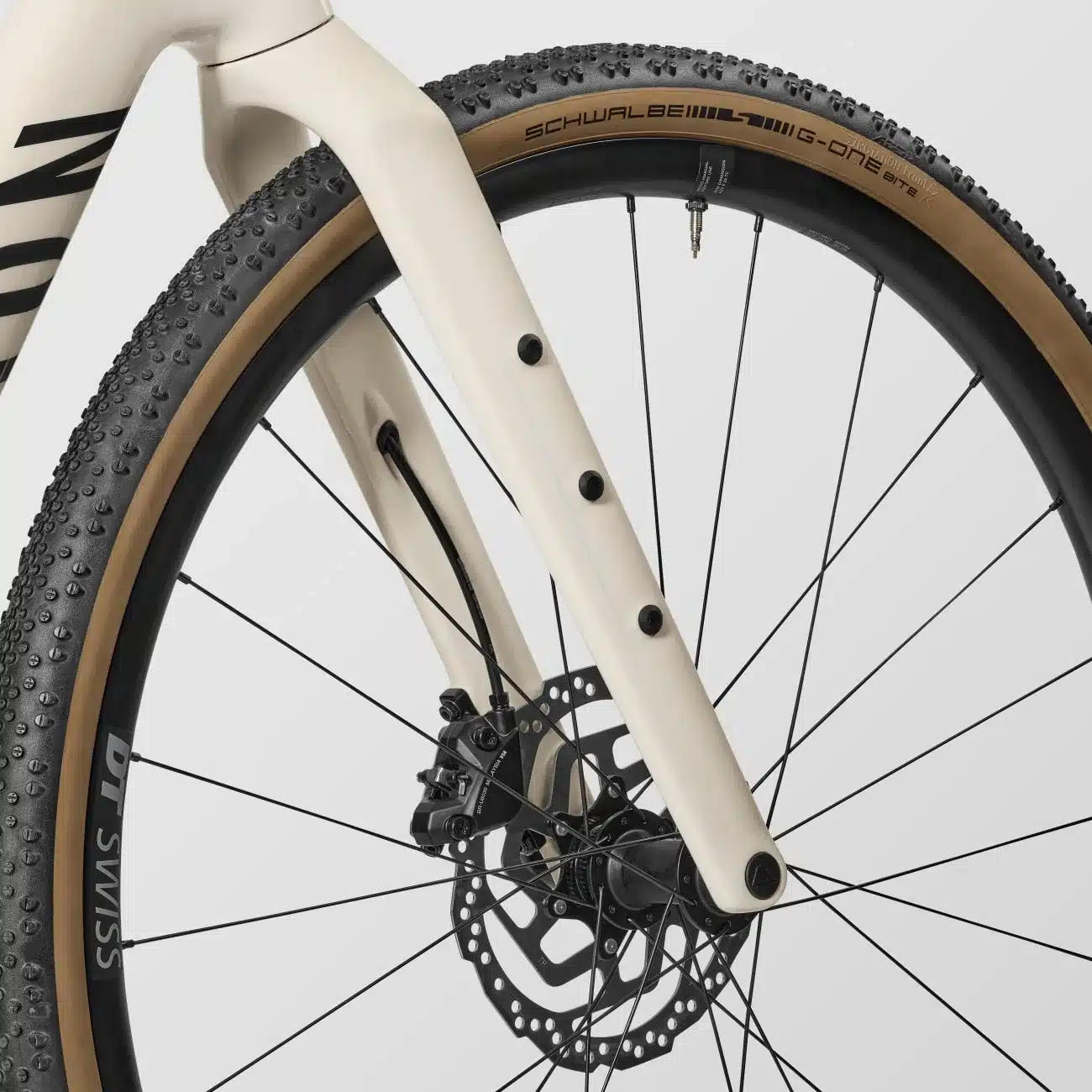 Detailaufnahme des Vorderrads eines Canyon Inflite CF SL 6 Cyclocross-Rads mit Fokus auf die Reifen (Schwalbe G-One Bite), die DT Swiss Felge und die vordere Scheibenbremse sowie die Carbon-Gabel mit Befestigungspunkten.