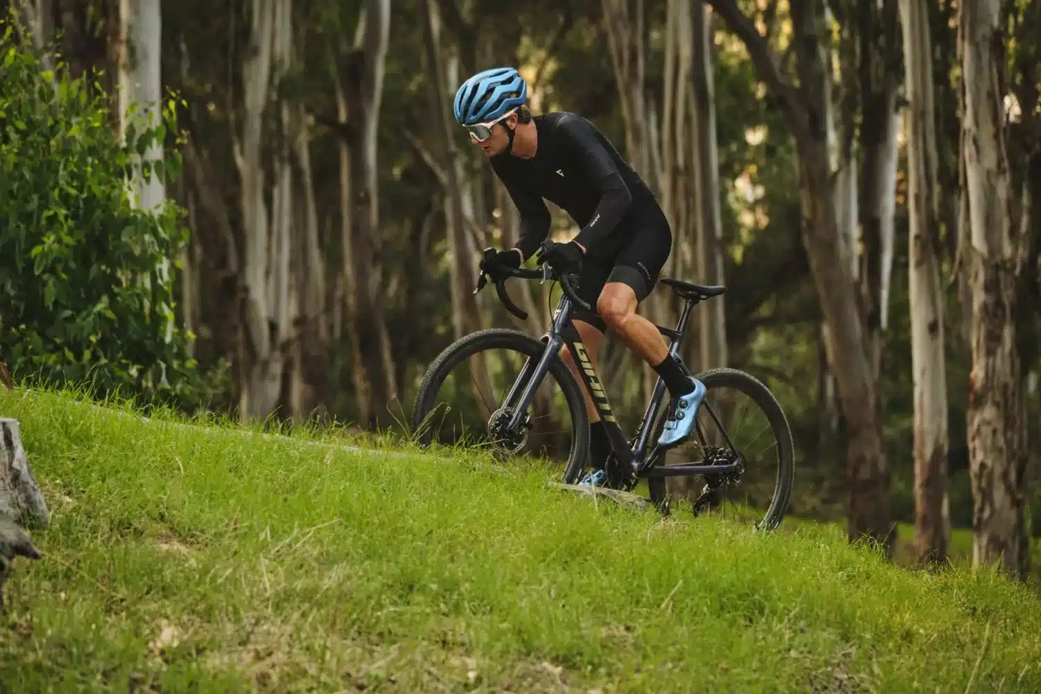 Radfahrer fährt bergauf auf einem Gravelbike durch eine Baumallee im Gras.