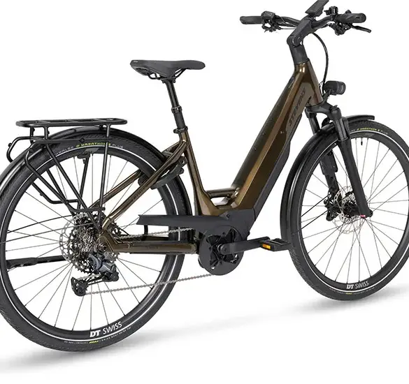 Das E-Triton 8.8.1 Plus ist ein braunes E-Trekkingrad mit Gepäckträger, Schutzblechen und einer vollständigen Beleuchtung.