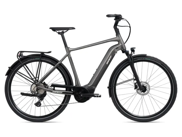 Graues Giant DailyTour E+ 2 D GTS E-Bike mit Gepäckträger, Schutzblechen und integriertem Akku, von vorne leicht seitlich aufgenommen.