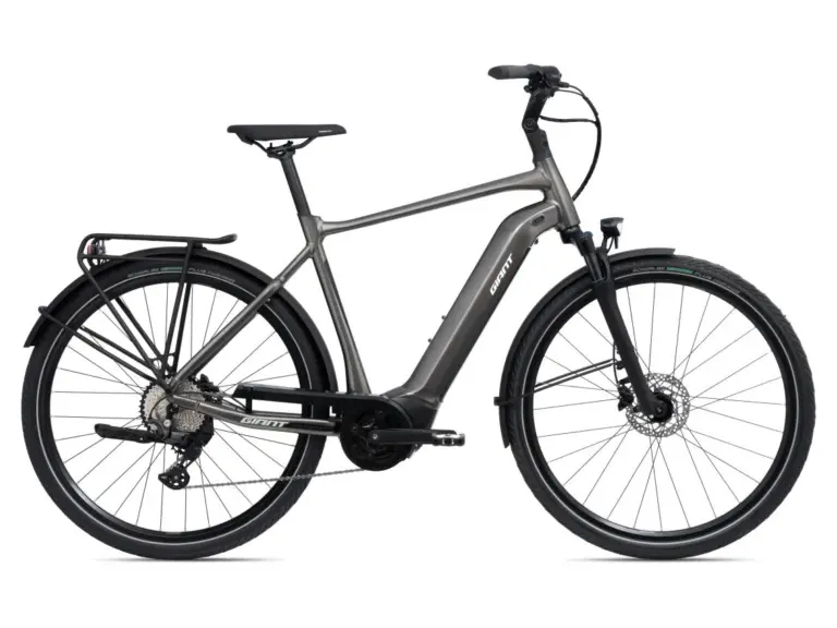 Graues Giant DailyTour E+ 2 D GTS E-Bike mit Gepäckträger und Schutzblechen, isoliert vor weißem Hintergrund.