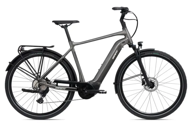 Graues Giant DailyTour E+ 2 D GTS E-Bike mit Gepäckträger und Schutzblechen, isoliert vor weißem Hintergrund.