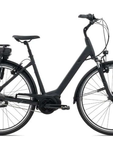 Seitenansicht eines mattschwarzen Giant Entour E+ 1 RT E-Bikes mit Gepäckträger und Akku.